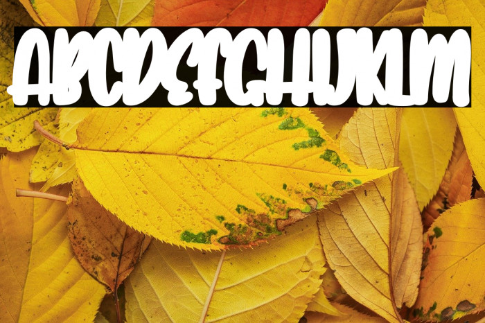 Lovely Unicorn Shadow Example 1