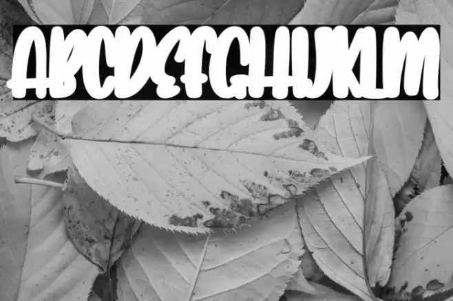 Lovely Unicorn Shadow Font examples