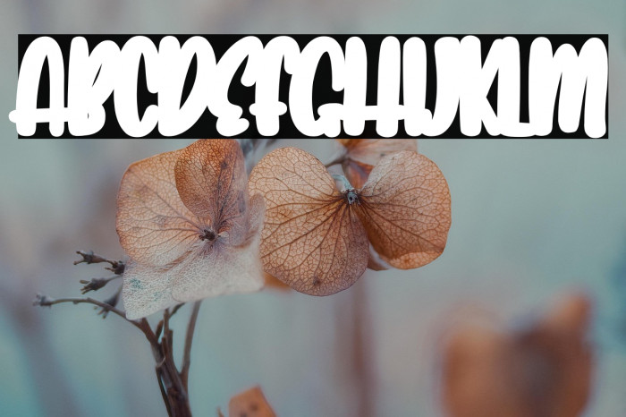 Lovely Unicorn Shadow Example 3