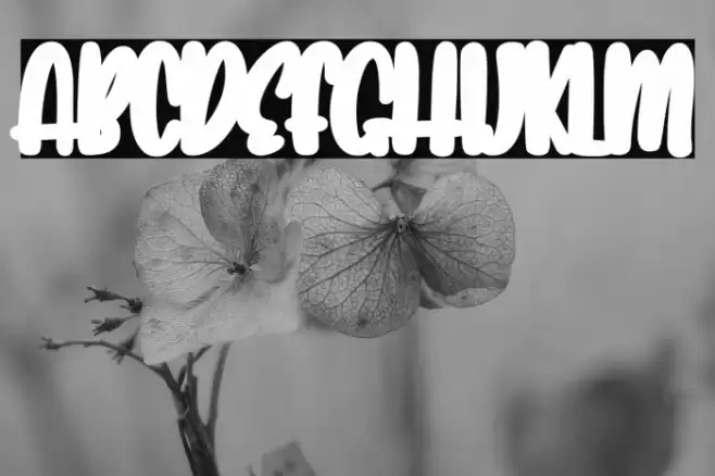 Lovely Unicorn Shadow Font examples