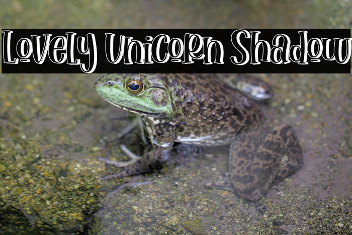 Lovely Unicorn Shadow Example 2