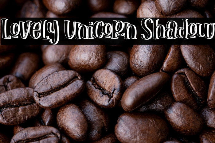 Lovely Unicorn Shadow Example 3