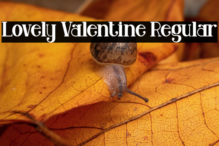 Lovely Valentine Regular Example 2