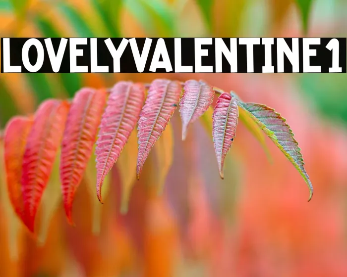Lovely Valentine1 Example 2