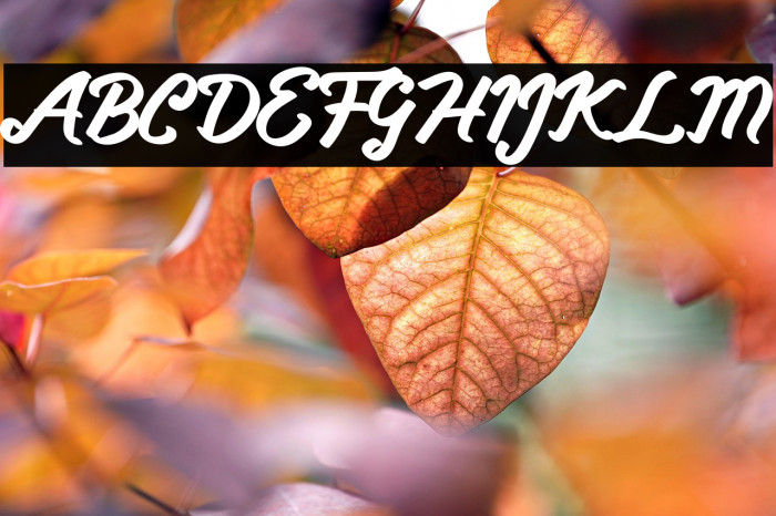 Lovely Valenty Example 1