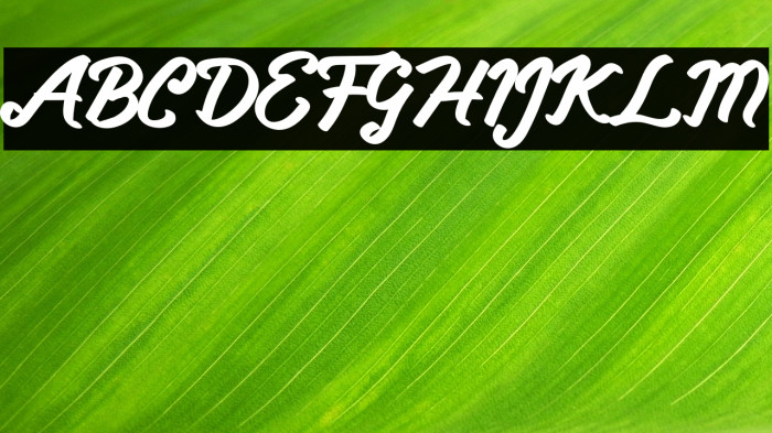 Lovely Valenty Example 2