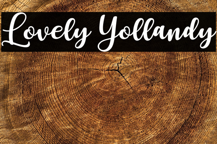 Lovely Yollandy Example 1