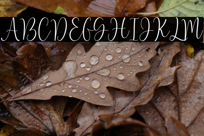 Lovely font demo Example 2