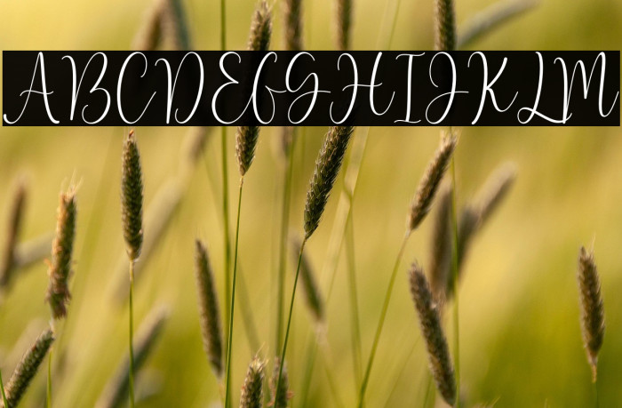 Lovely font demo Example 3