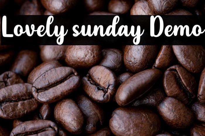 Lovely sunday Demo Example 1