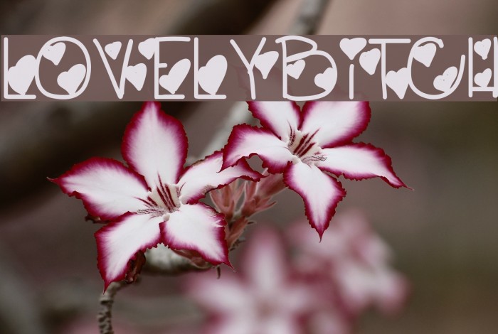 LovelyBitch Font examples