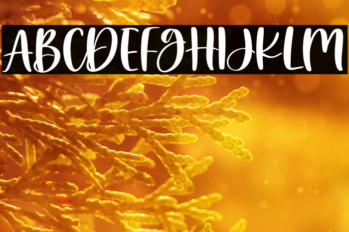 LovelyBluebird Example 1