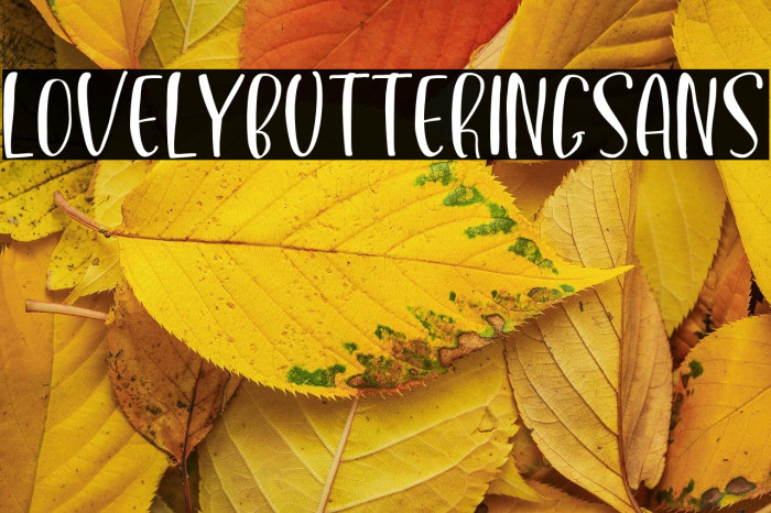LovelyButteringSans Example 1