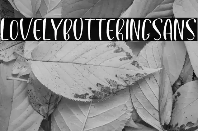 LovelyButteringSans Fuentes examples