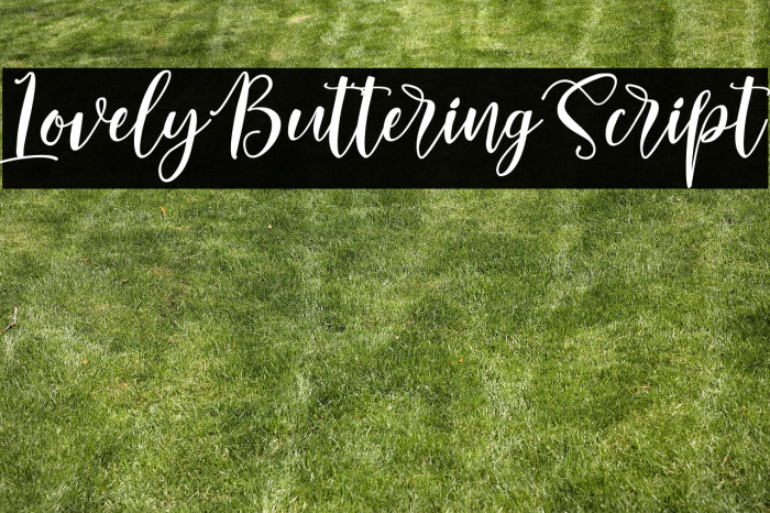 LovelyButteringScript Example 1