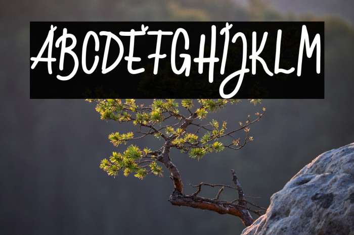 LovelyFREE Example 1