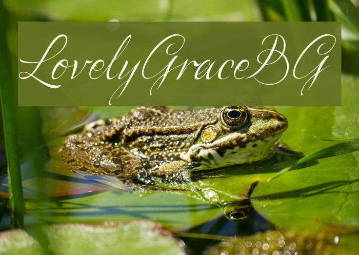 LovelyGraceBG Font examples