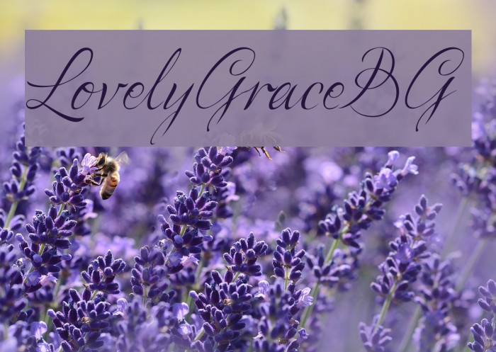LovelyGraceBG Font examples
