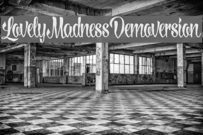 LovelyMadnessDemoversion Example 1