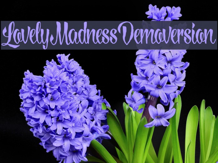 LovelyMadnessDemoversion Font examples