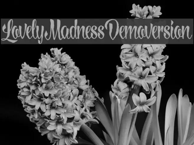 LovelyMadnessDemoversion Example 2