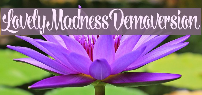 LovelyMadnessDemoversion Font examples