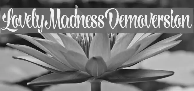 LovelyMadnessDemoversion Example 3