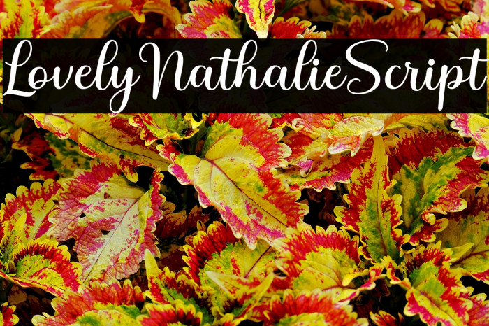 LovelyNathalieScript Example 2