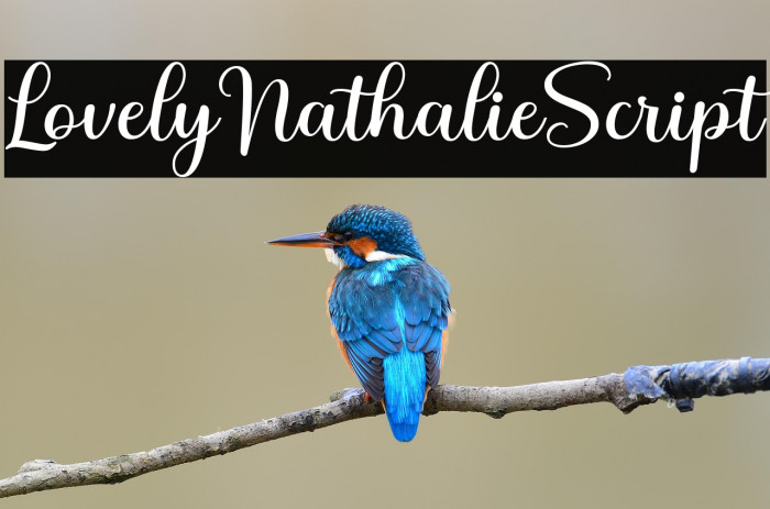 LovelyNathalieScript Example 3