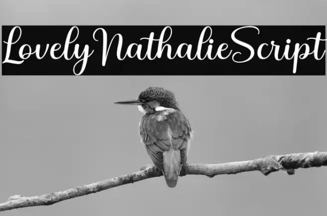 LovelyNathalieScript Example 3
