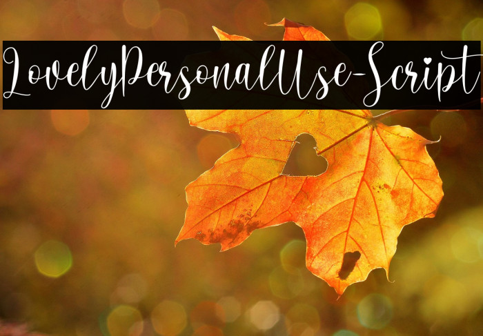 LovelyPersonalUse-Script Example 3