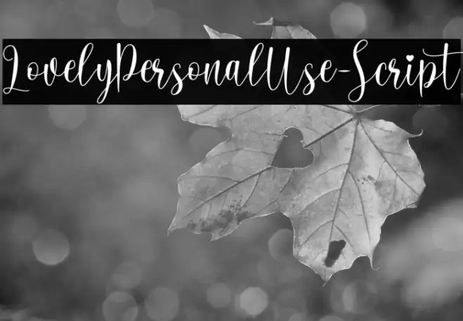 LovelyPersonalUse-Script Example 3