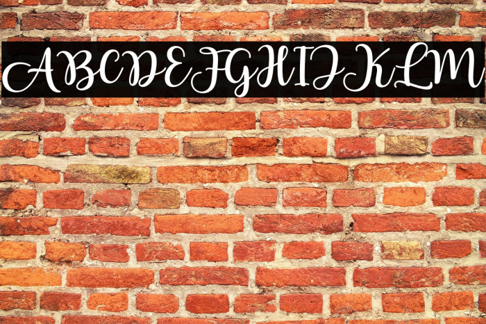 LovelyYollandy Example 2