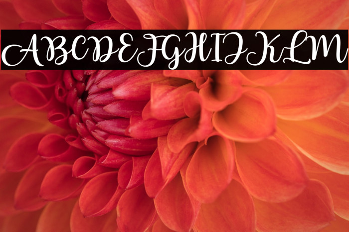 LovelyYollandy Example 3