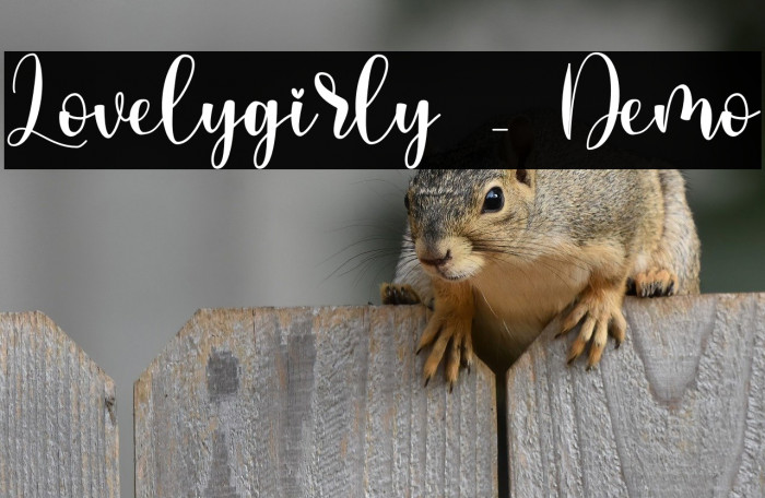 Lovelygirly - Demo Example 1