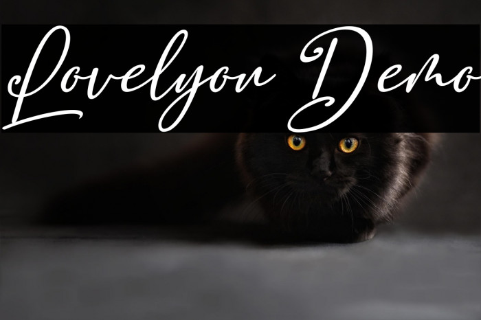 Lovelyou Demo Example 1