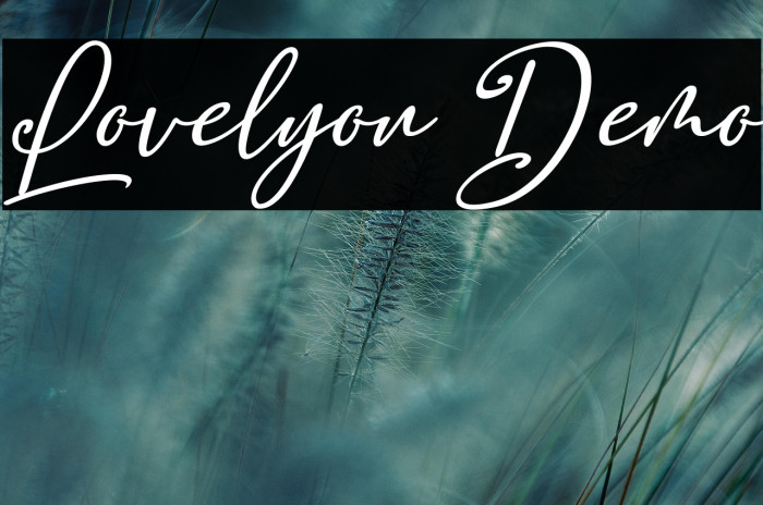 Lovelyou Demo Example 2