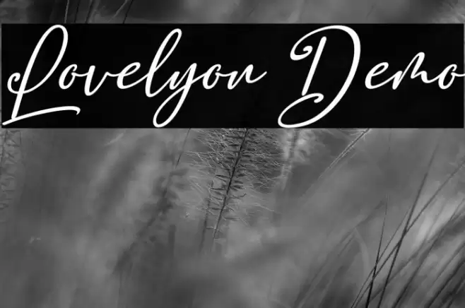 Lovelyou Demo Шрифта examples