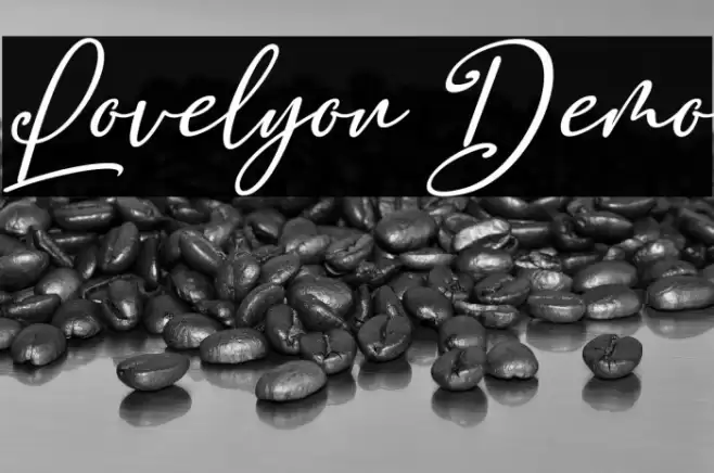 Lovelyou Demo Шрифта examples
