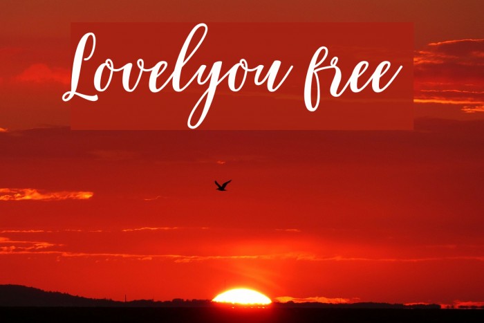 Lovelyou free Font examples