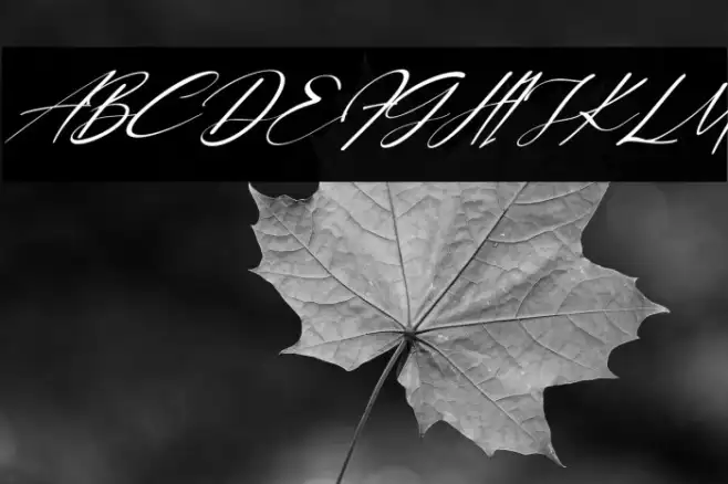 Lovelystory Italic Example 2