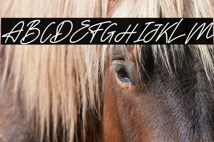 Lovelyta Italic Example 3