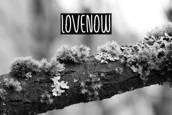 Lovenow Example 1