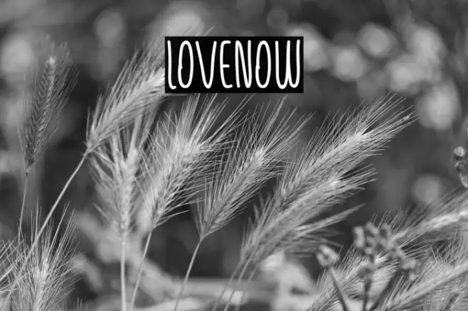 Lovenow Example 2