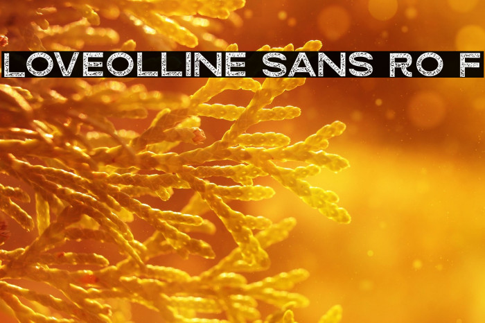 Loveolline Sans Ro F Example 3