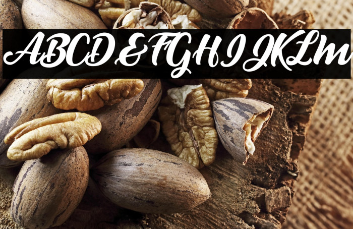 Lover Artefacts Personal Use Regular Example 2