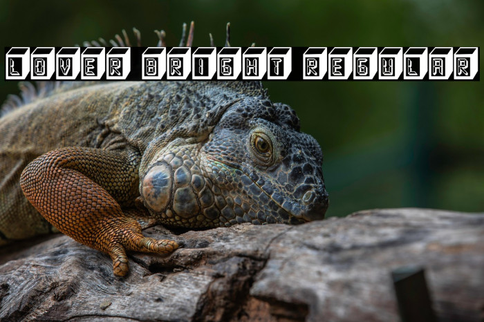 Lover Bright Regular Example 1