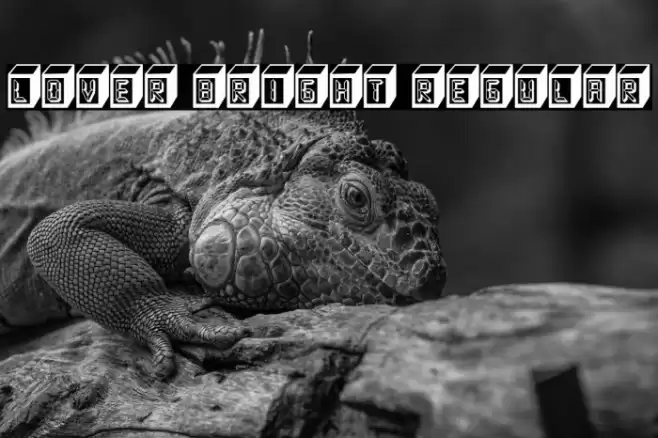 Lover Bright Regular Font examples