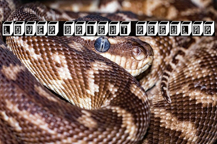 Lover Bright Regular Example 2