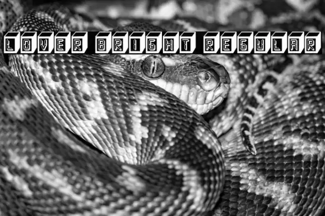 Lover Bright Regular Font examples